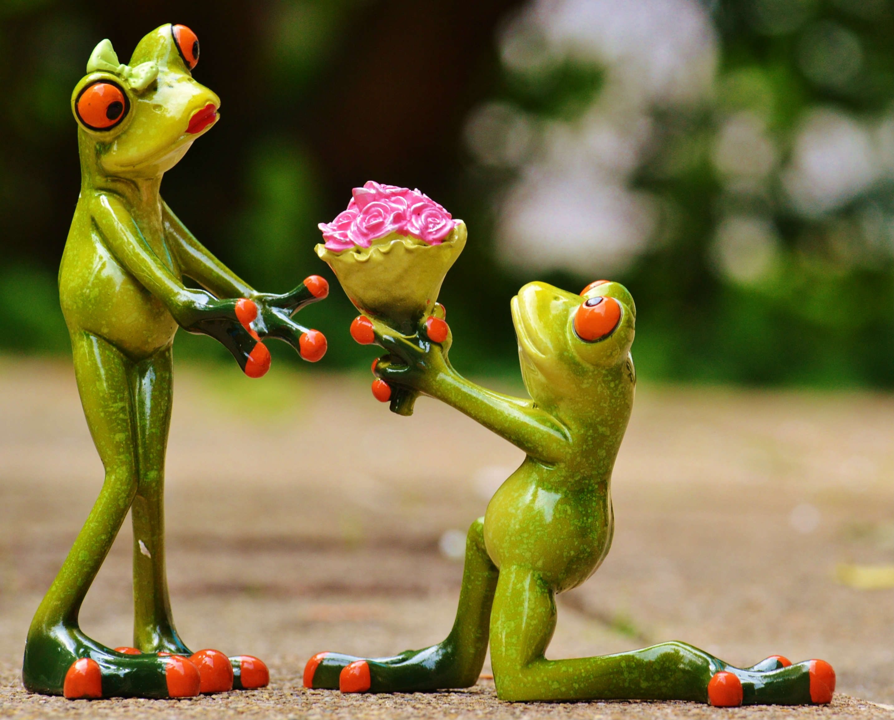 Love Proposal Frog
