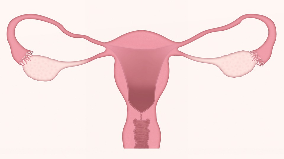 Gynecological Health